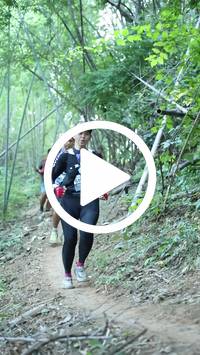 BIB:  <button type="button" onclick="openModal(28040862)" class="btn btn-primary btn-sm float-right" data-toggle="modal" data-target=".modal-high-quality">
                <i class="fa fa-download"></i> Download
                </button>